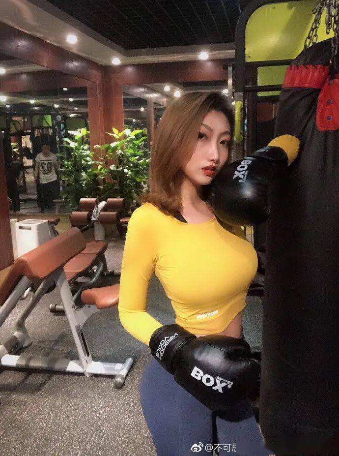 星之翼官方版下载